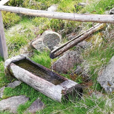 Apart Waldesruh Arzl im Pitztal Luaran gambar