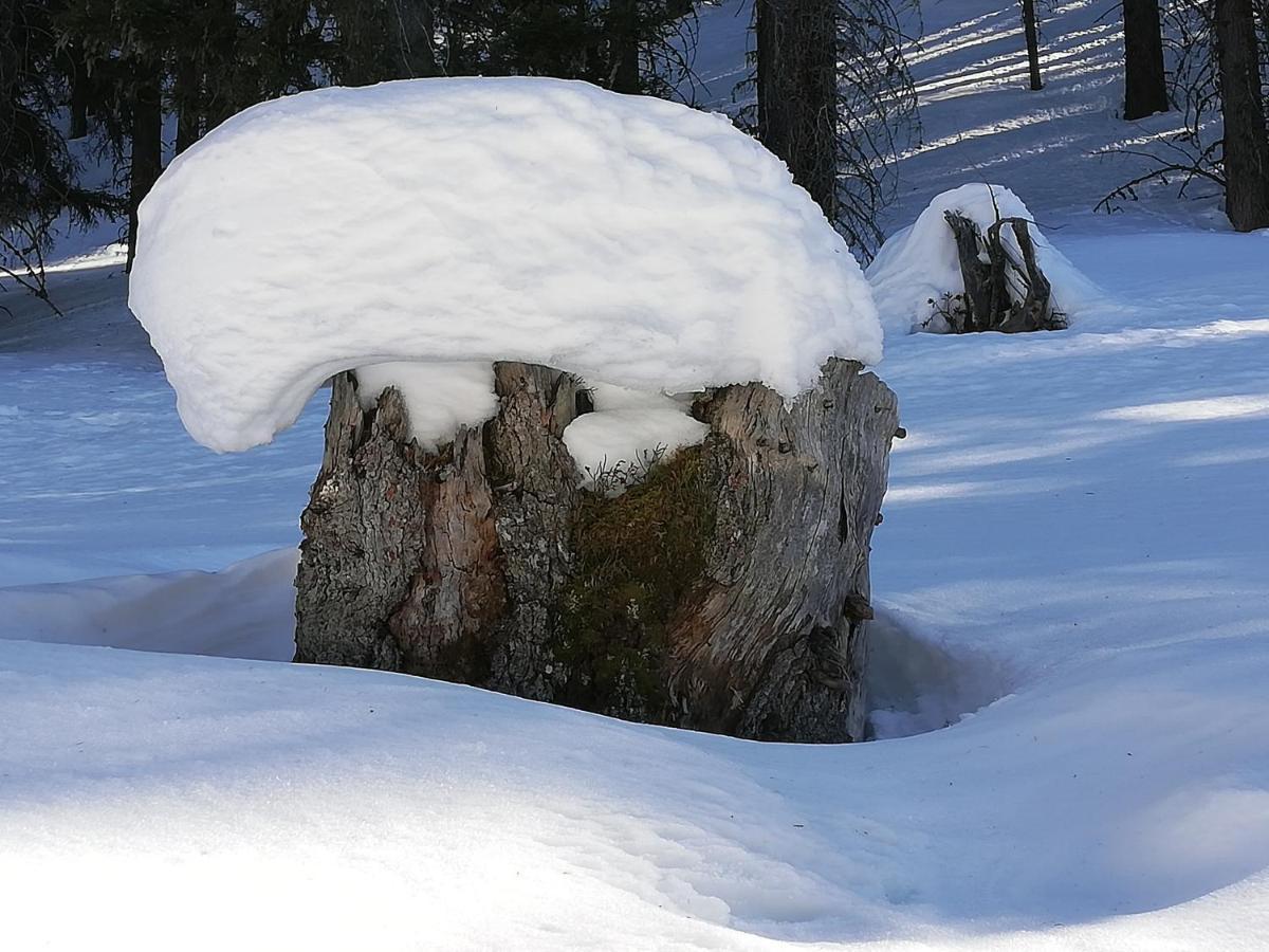Apart Waldesruh Arzl im Pitztal Luaran gambar