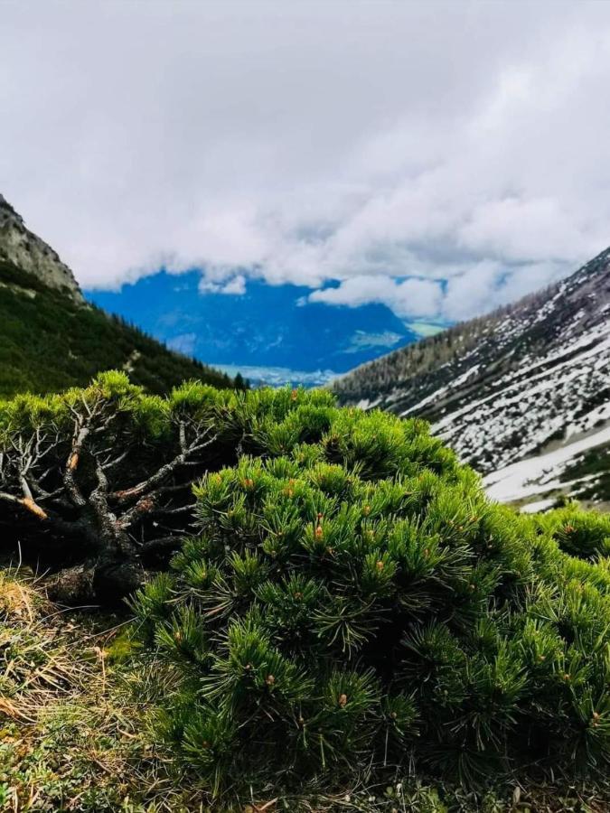 Apart Waldesruh Arzl im Pitztal Luaran gambar