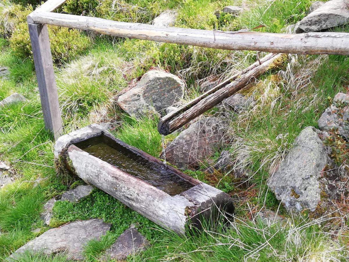 Apart Waldesruh Arzl im Pitztal Luaran gambar