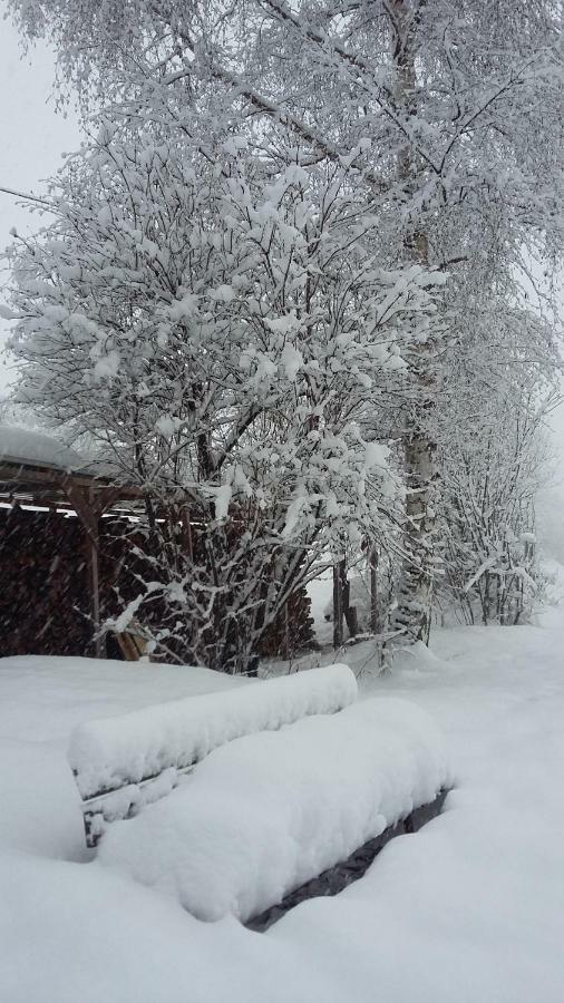 Apart Waldesruh Arzl im Pitztal Luaran gambar