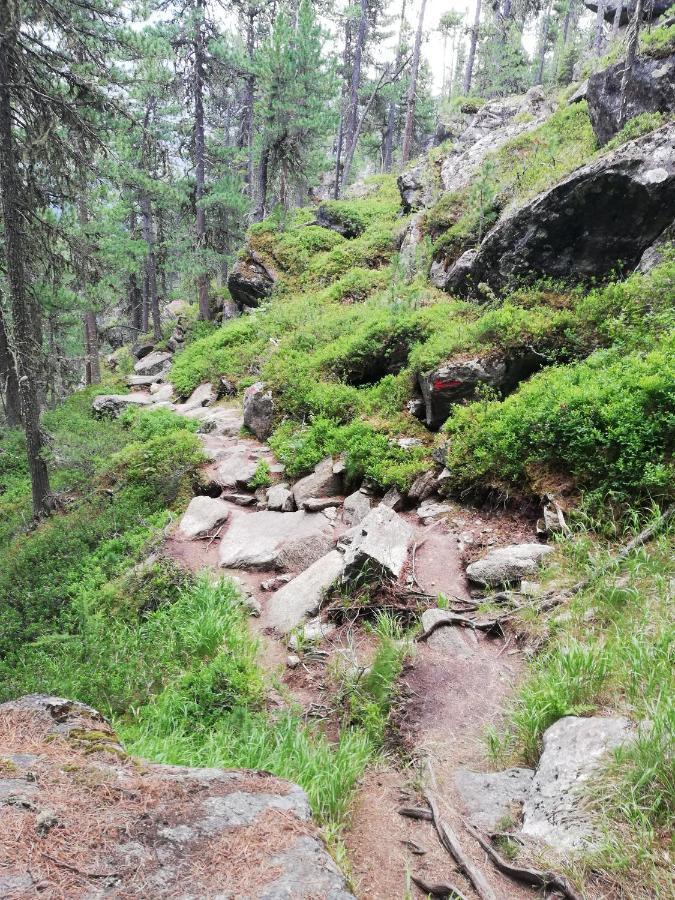 Apart Waldesruh Arzl im Pitztal Luaran gambar